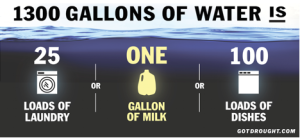 Veganism And The Drought - HappyCow