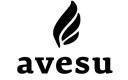 Avesu - Berlin