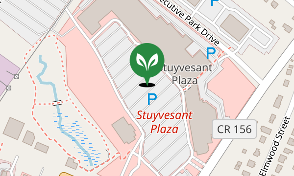 The Hot Yoga Spot — Stuyvesant Plaza, Albany